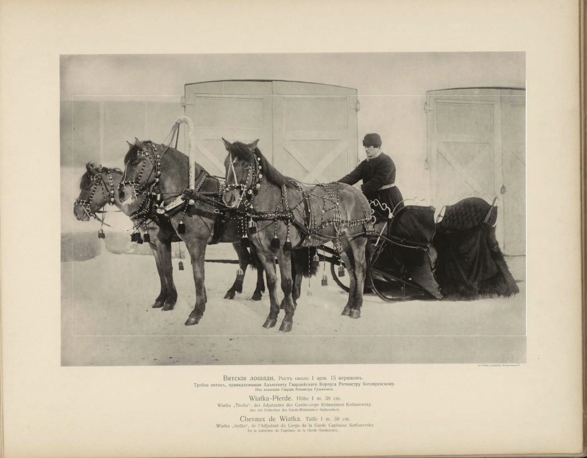 Вятская тройка, конец 19 века