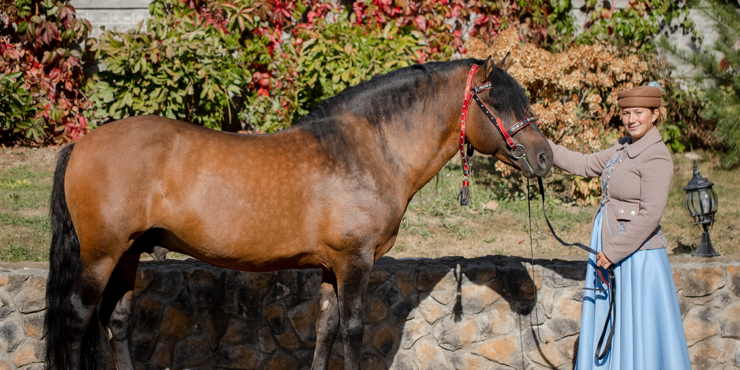 Вятская порода лошадей. Наталья Белоусова, регистратор породы ВНИИК