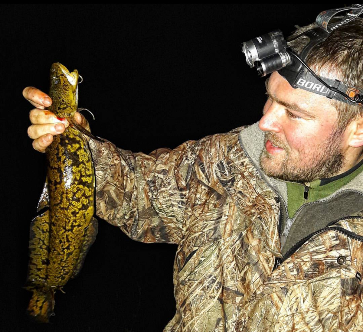 Долгожданный