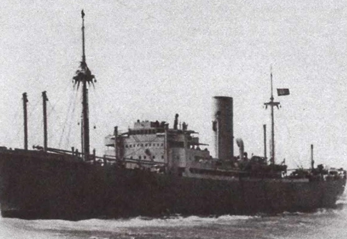 Фото из свободных источников в интернете