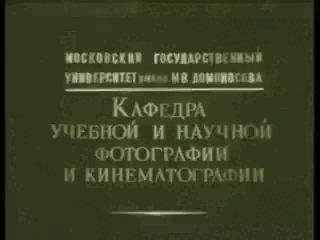 Мультфильм «Кошечка» (1968)