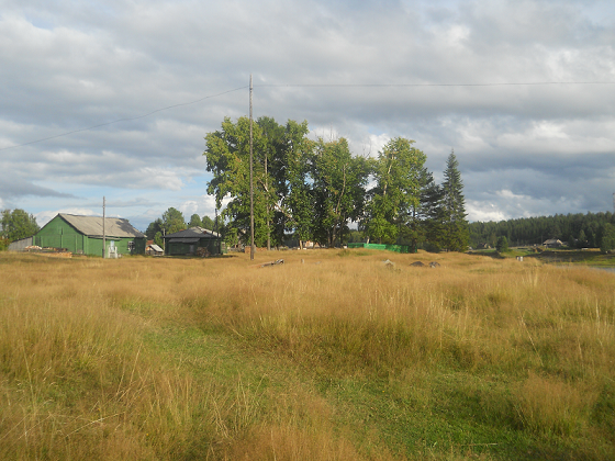 Вот в этом месте среди тополей и стоял наш клуб, теперь только тополя остались