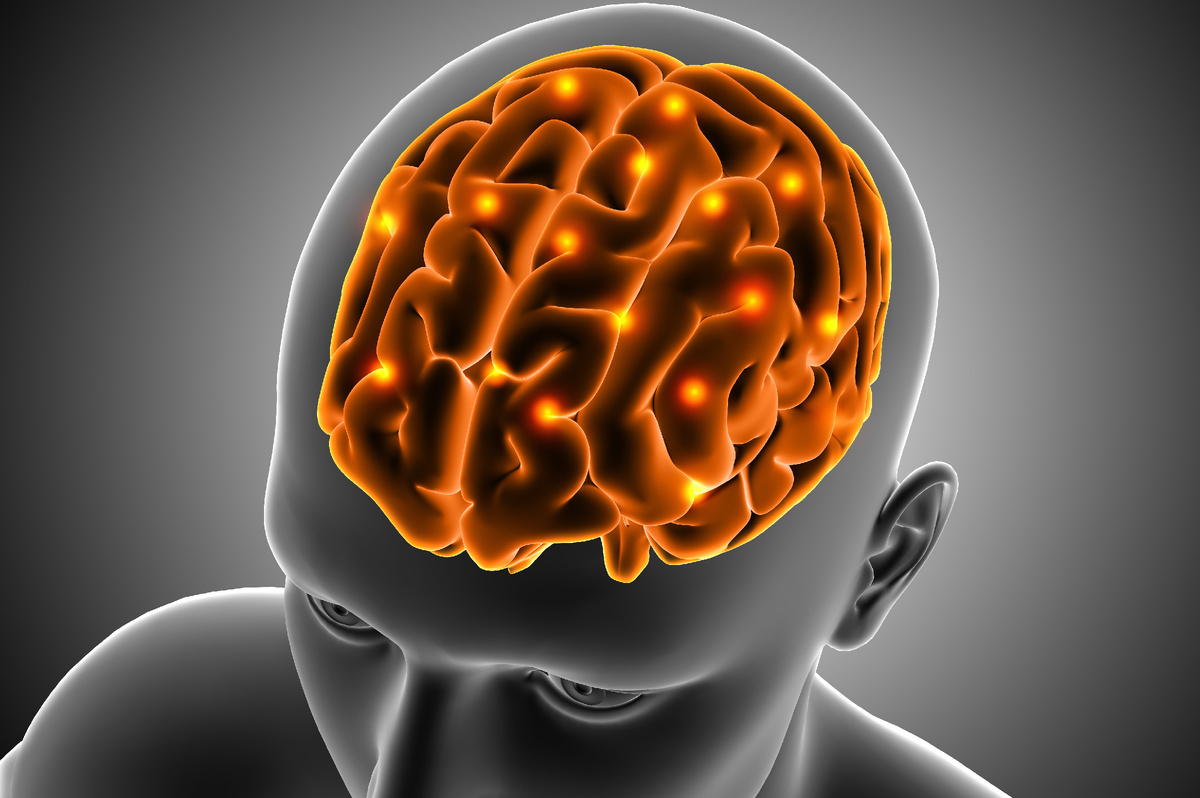 Влияние этанола на участки головного мозга (источник изображения: freepik.com)