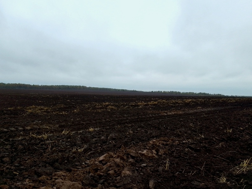 Уйти в низину, там хабар и не видно меня.