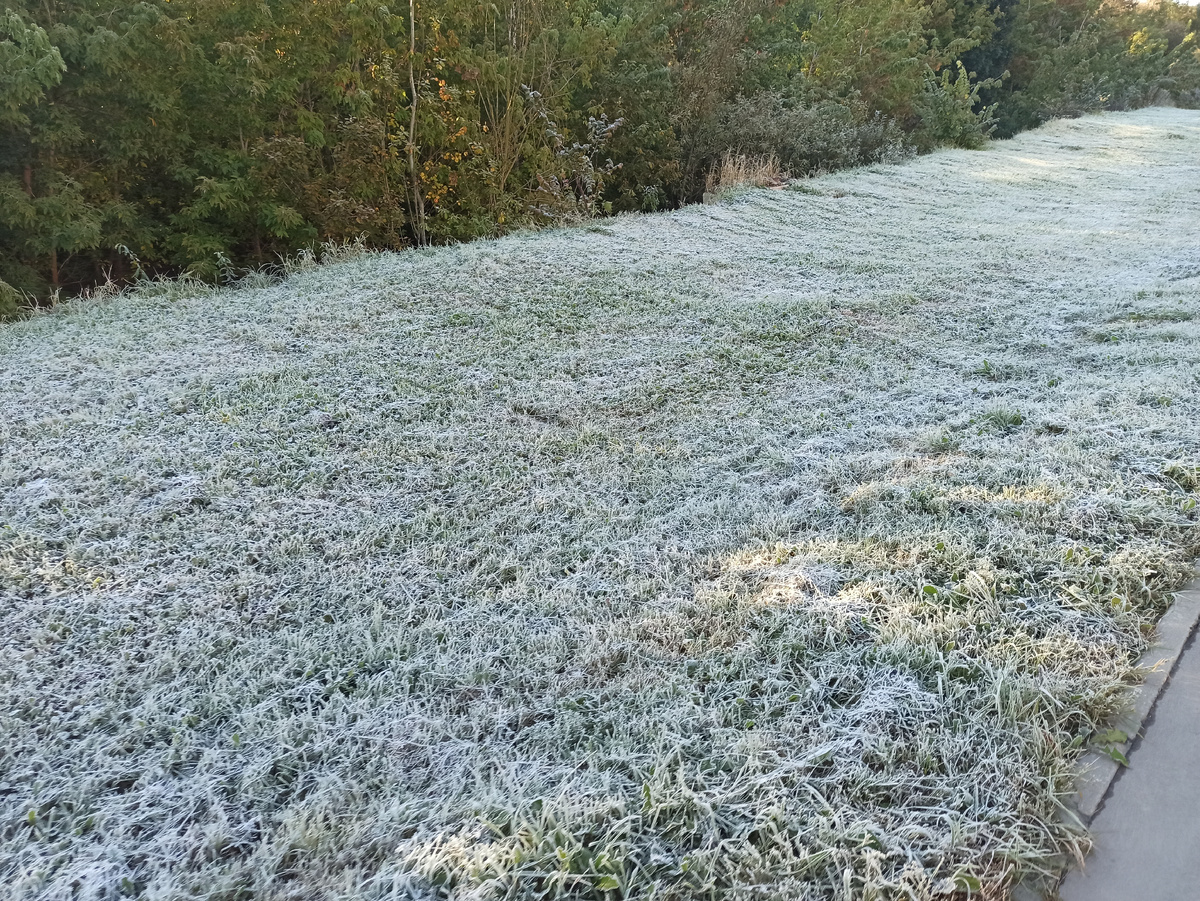 Фото автора. 