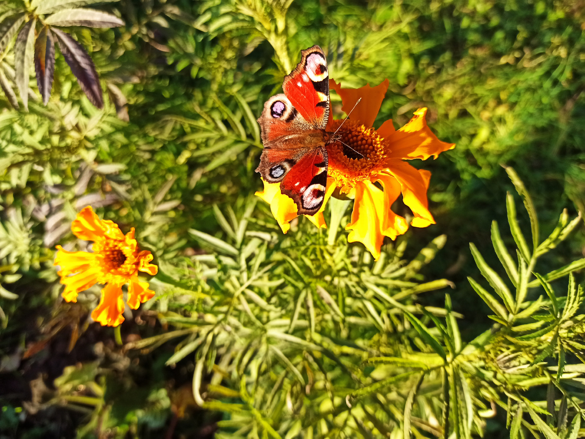 Фото автора. 