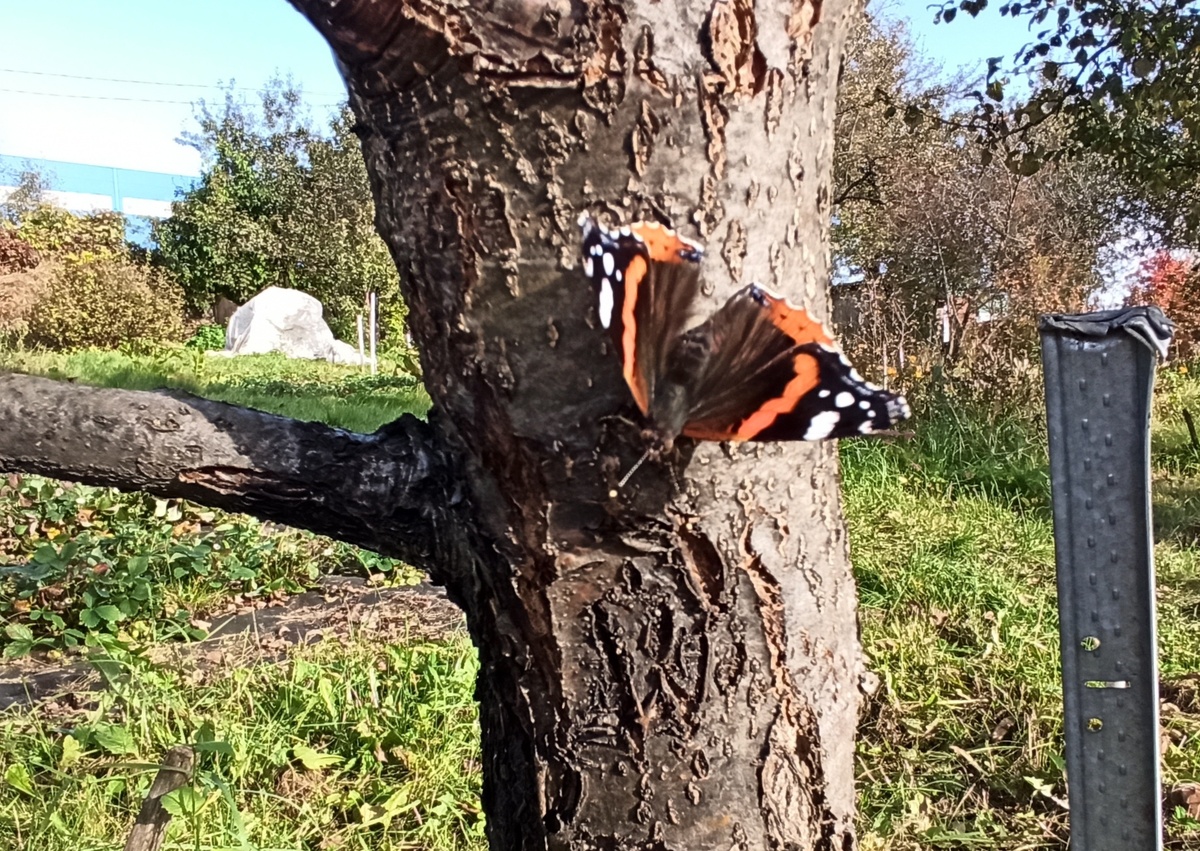 Фото автора. 