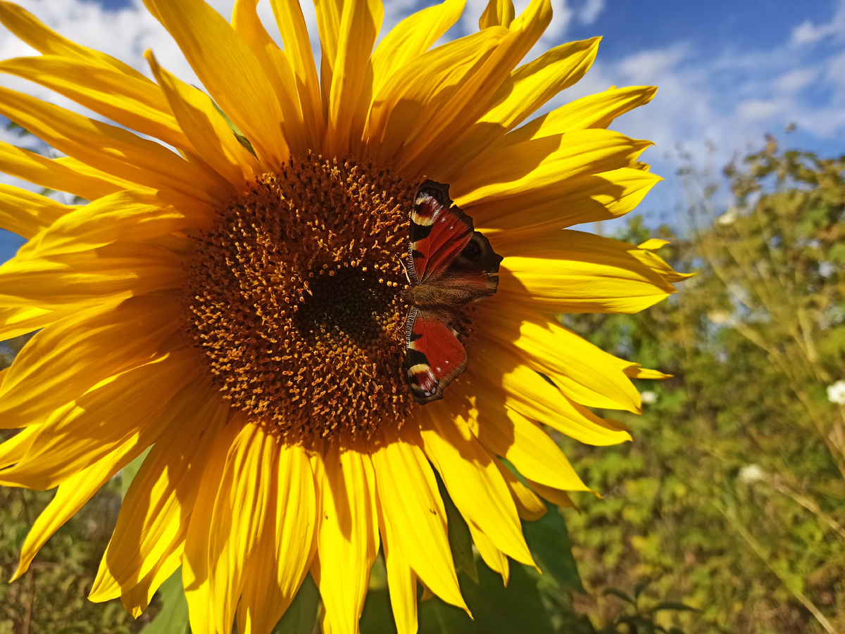 Фото автора. 