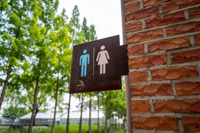     Безопасно ли садится на сидение общественного туалета