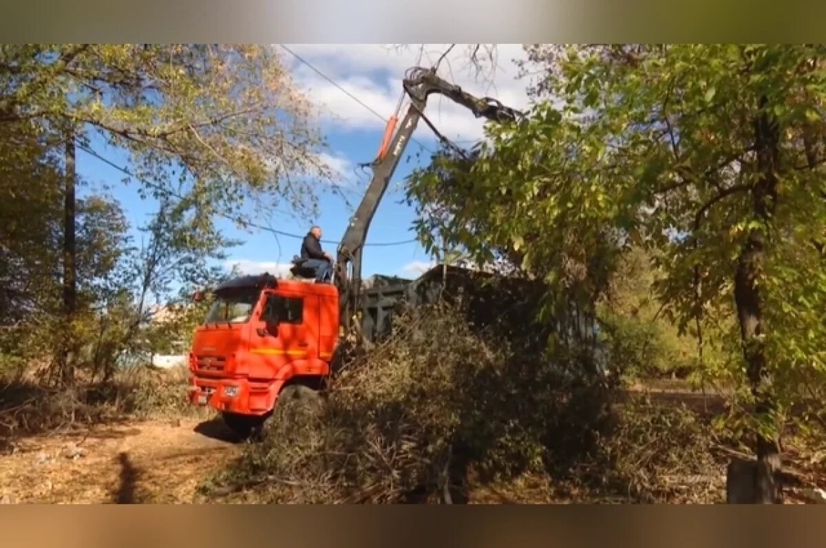    Оренбуржцы могут бесплатно вывезти для утилизации обрезки и ветки деревьев