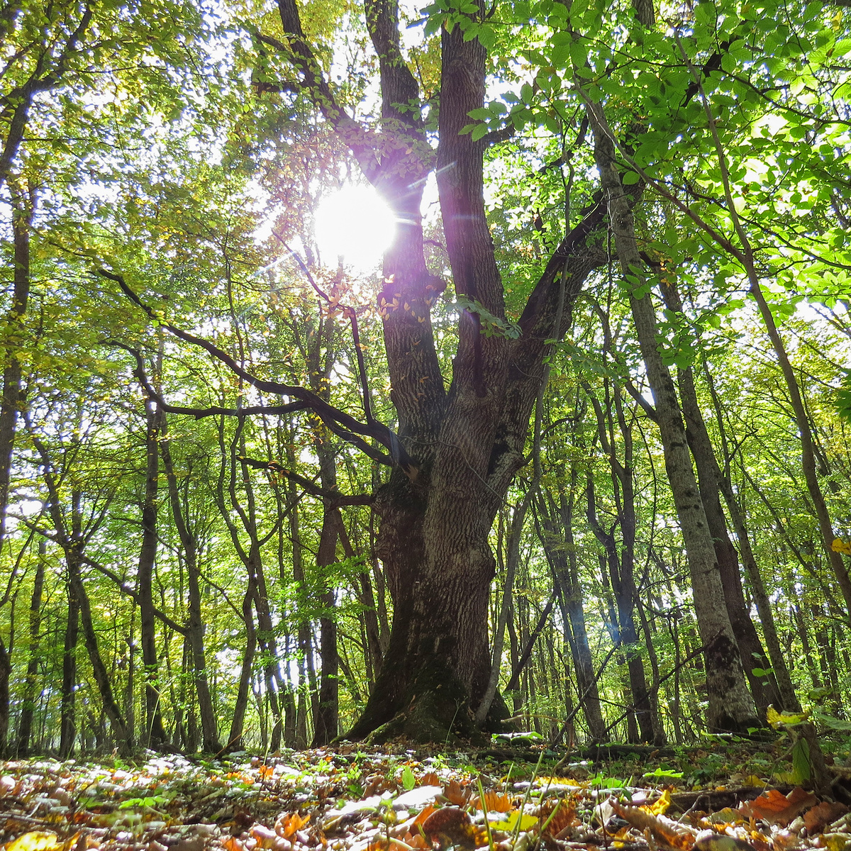Здесь и далее в статье фото автора, 6 октября 2025 года. 