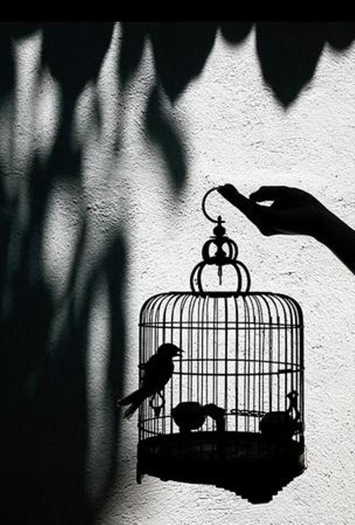 #самосовершенствование