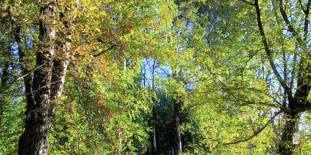 Внучка переживает, что это она подтолкнула отчима к разводу. Хорошо, что мать пока об этом не знает. Последний вагон-37