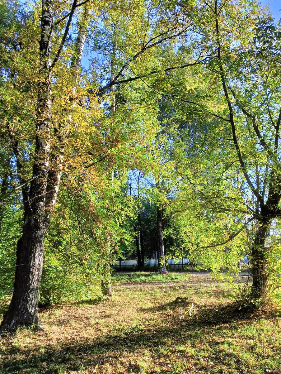 Фото Ольги Сухановой