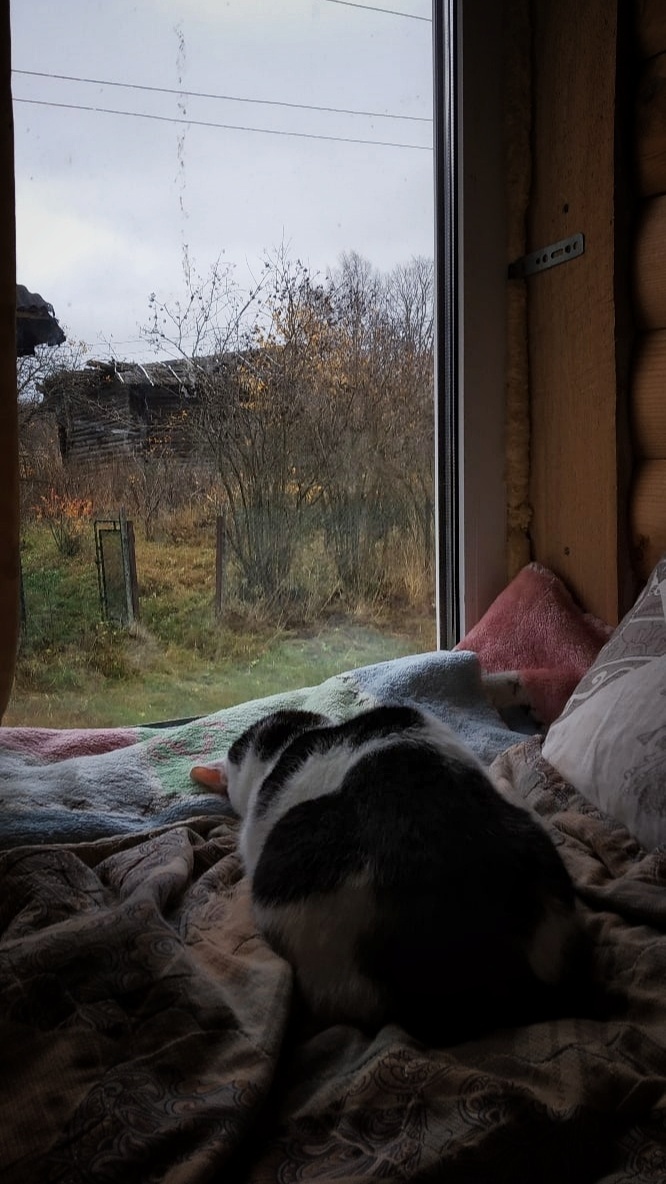 В дождь хорошо спать и рукодельничать