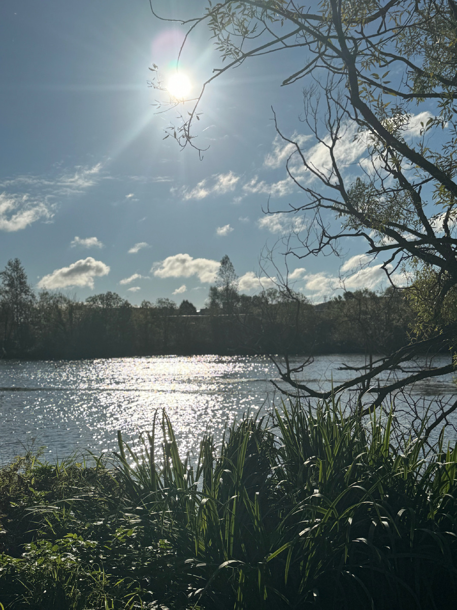 Берег реки Ижоры, октябрь 2025