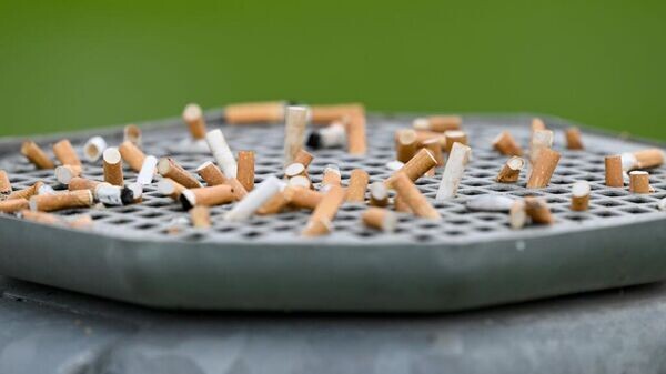    © Getty Images / Arne Dedert/picture alliance