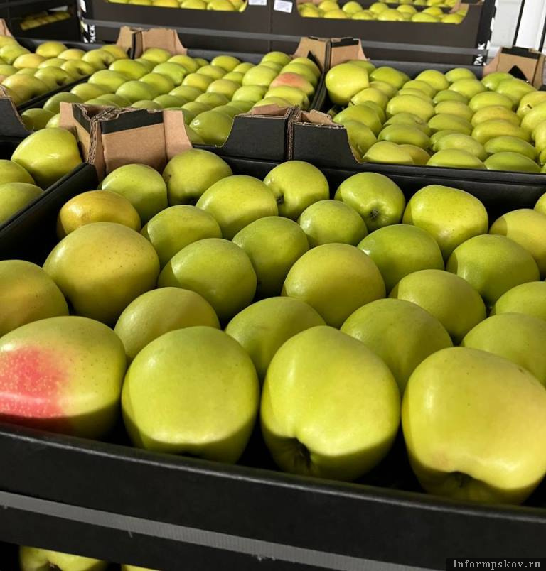 Фото: пресс-служба Северо-Западного межрегионального управления Россельхознадзора