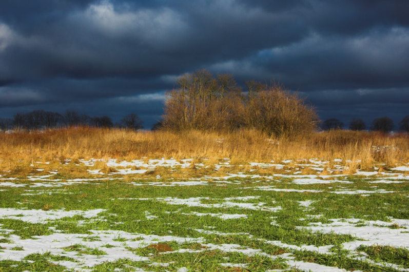    Фото: freepik.com Редактор