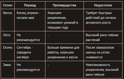 Сроки посадки малины