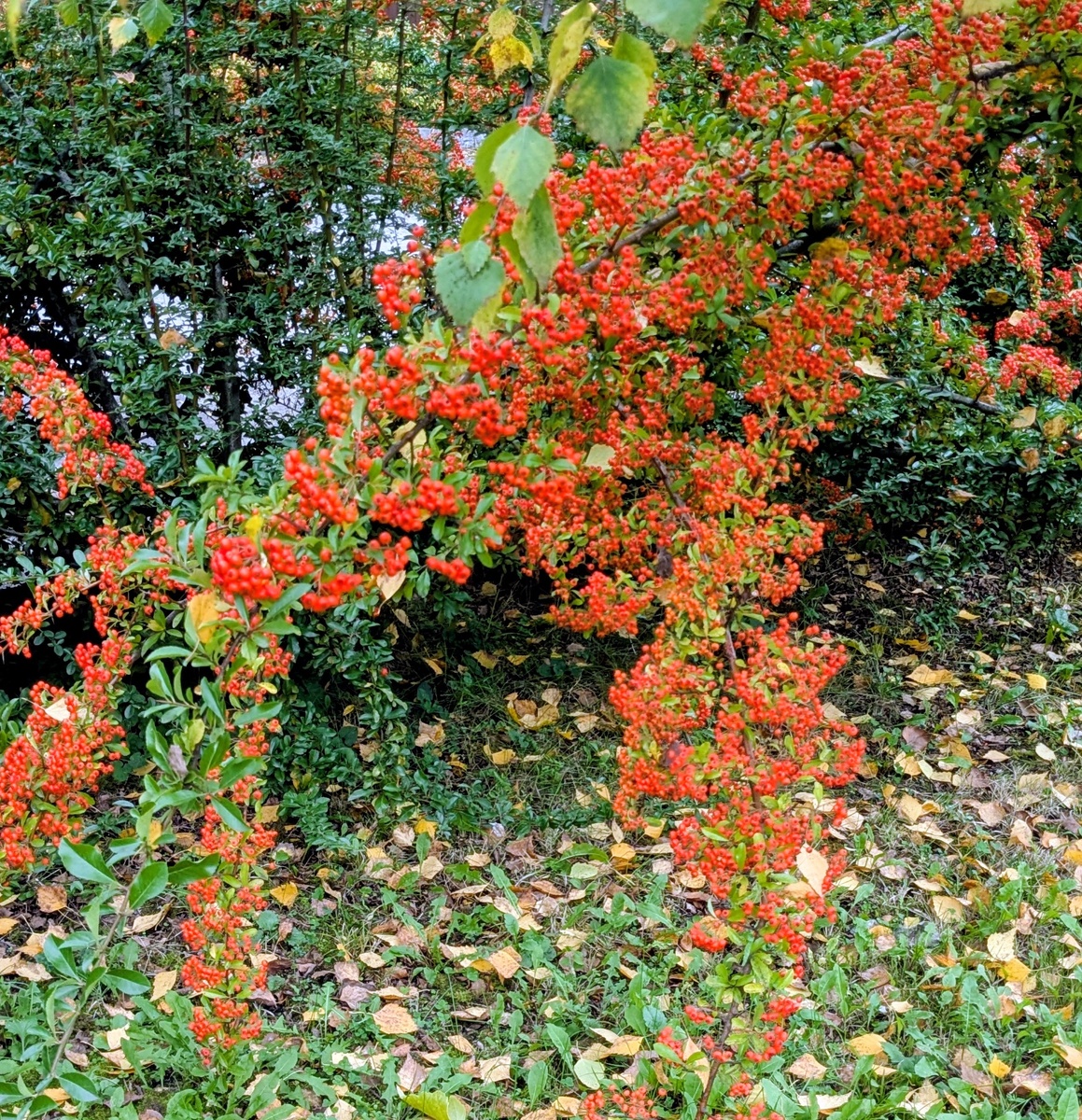 Фото авторы