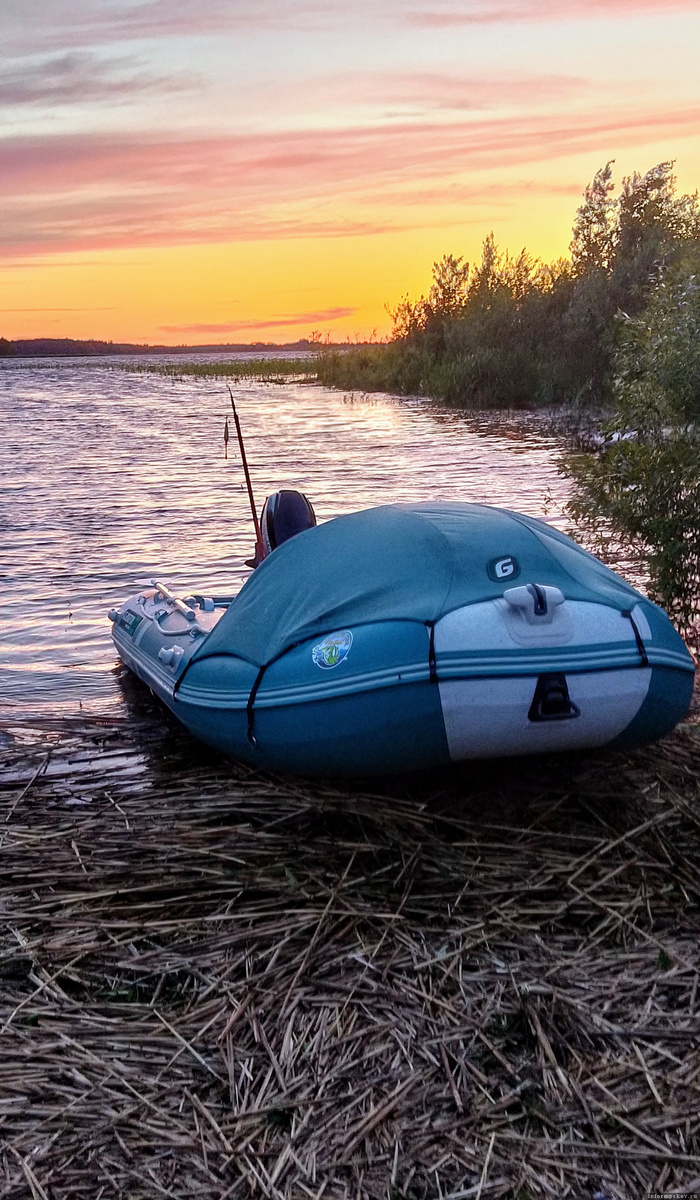 Раскопельский залив Чудского озера. Фото здесь и далее: Николай Бесклёвный