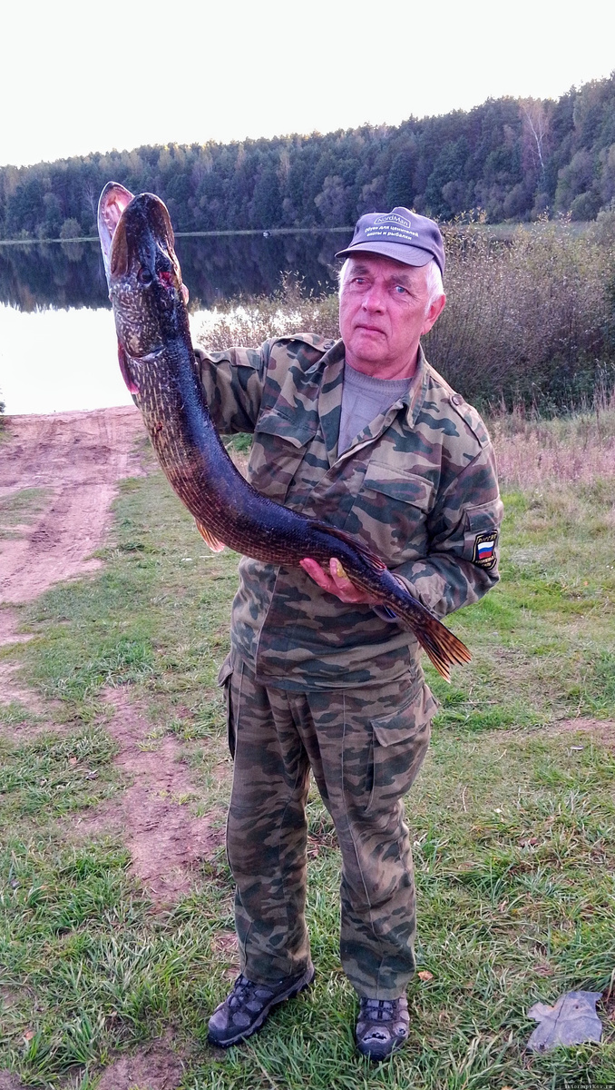 25.09.2025. Щука весом 6 500 граммов. Бронзовая медаль в моём личном хит-параде