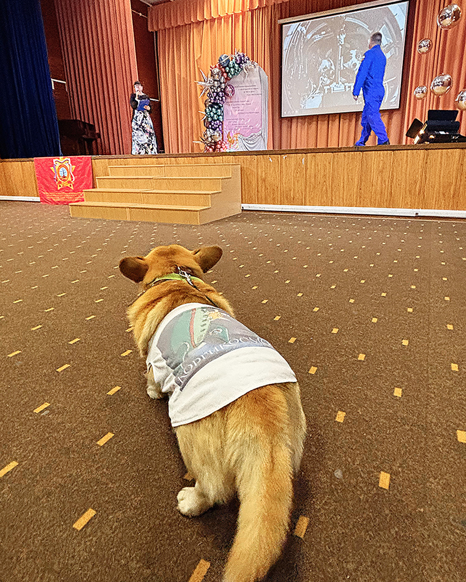 Выход на сцену летчика-космонавта Алексея Николаевича Овчинина, 01.10.25, МО, Щёлково, школа номер 12