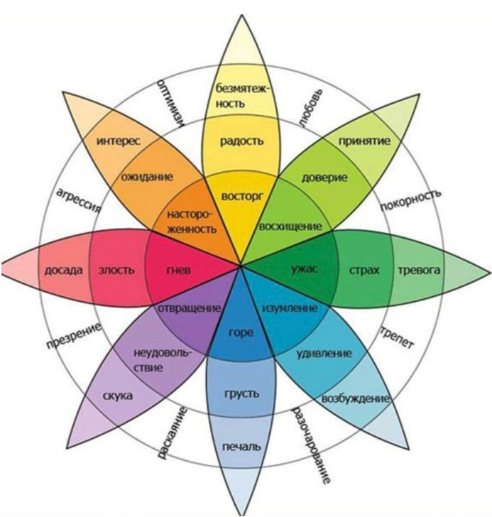 Иллюстрация: колесо эмоций Роберта Плутчика