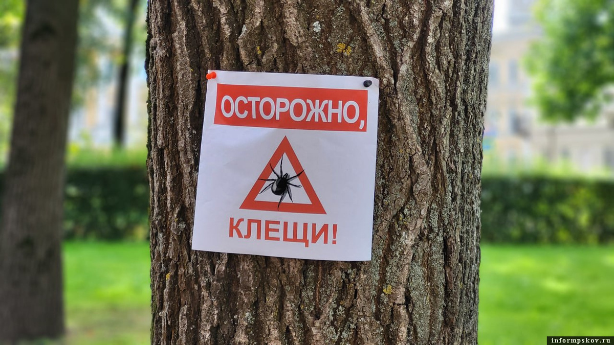 Фото: ПАИ