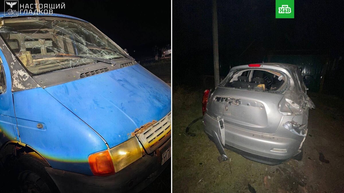    Фото: Настоящий Гладков / t.me