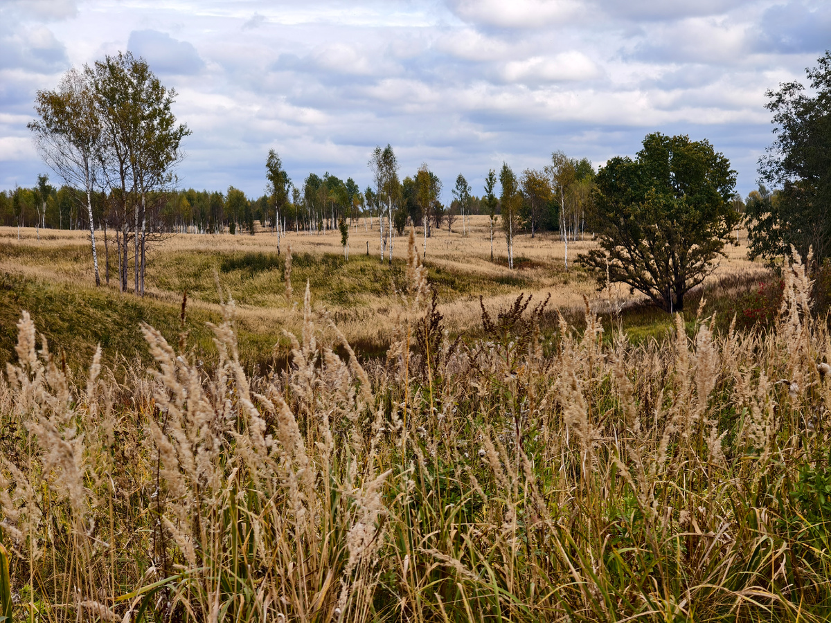 На покатушке 