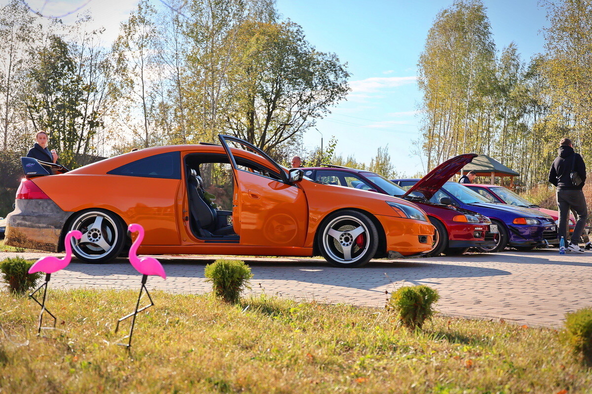 Листайте вправо, чтобы увидеть больше изображений