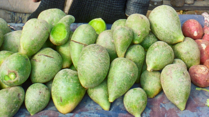    Фото: © РИА Новости/Рубен Мангасарян