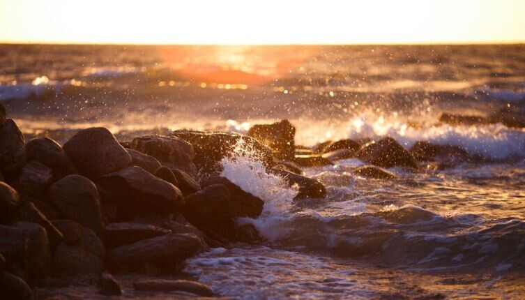     Фото: Alexandr Popadin on Unsplash