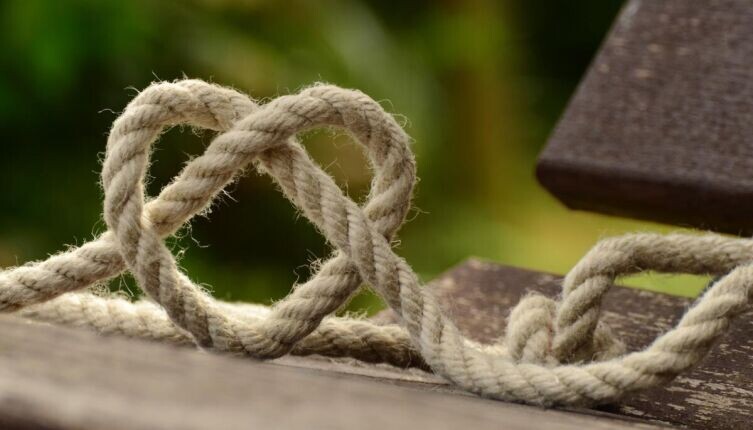     Фото: по лицензии CC0 Pxhere.com