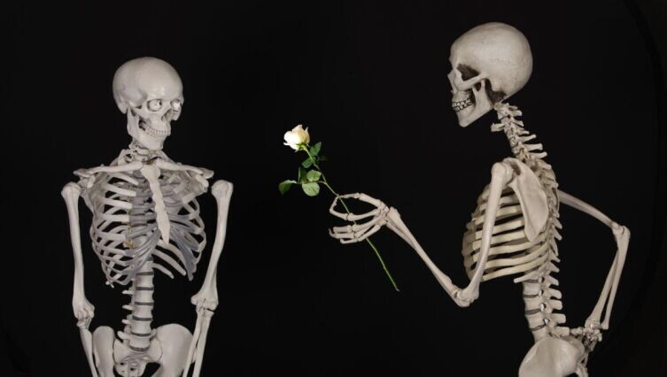     Фото: по лицензии CC0 Pxhere.com