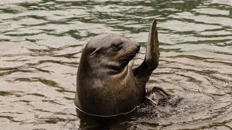    Знаете ли вы основные правила этикета? Фото: по лицензии CC0 Pxhere.com