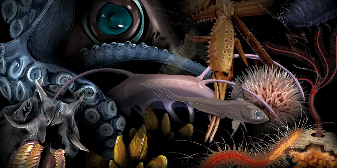 Что возникает на месте трупа кита под водой