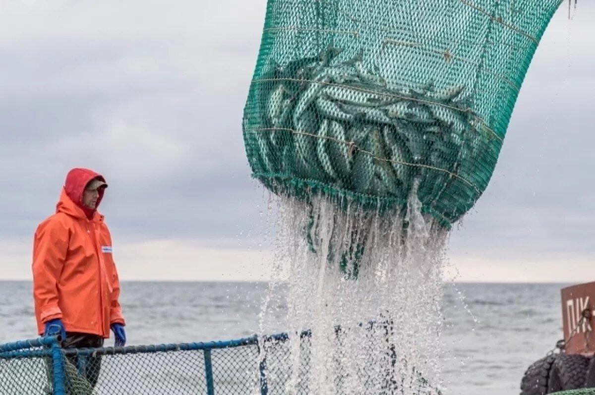    Суд отклонил иск камчатского колхоза имени Ленина к Росрыболовству