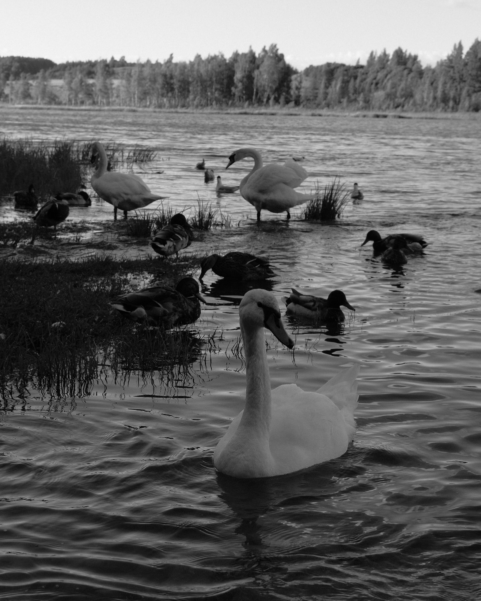 Любимые пейзажи остаются прежними, в то время как мы меняемся. Так из года в год красота родных мест открывается для нас по-новому