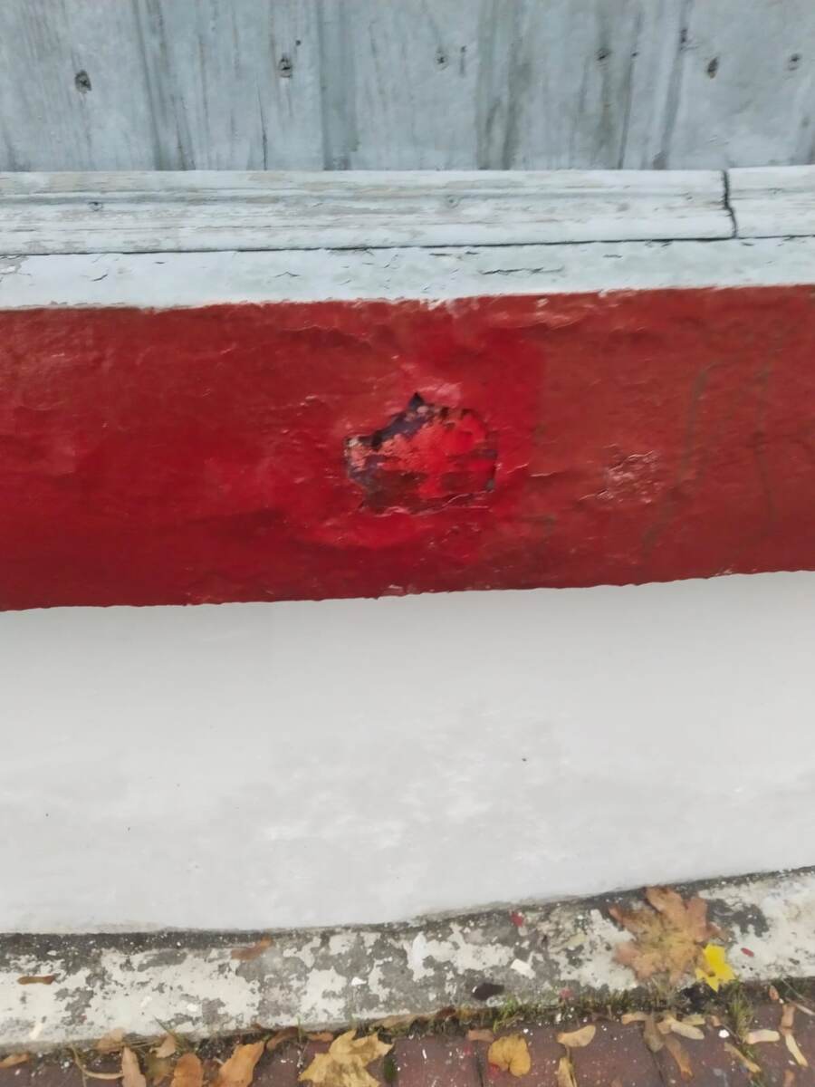 Фото для мэру Москвы Сергею Семёновичу Собянину