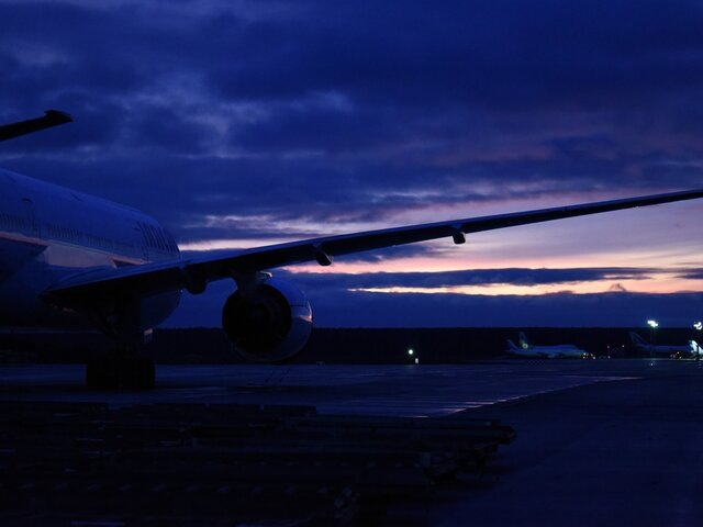    Фото: Москва 24/Никита Симонов