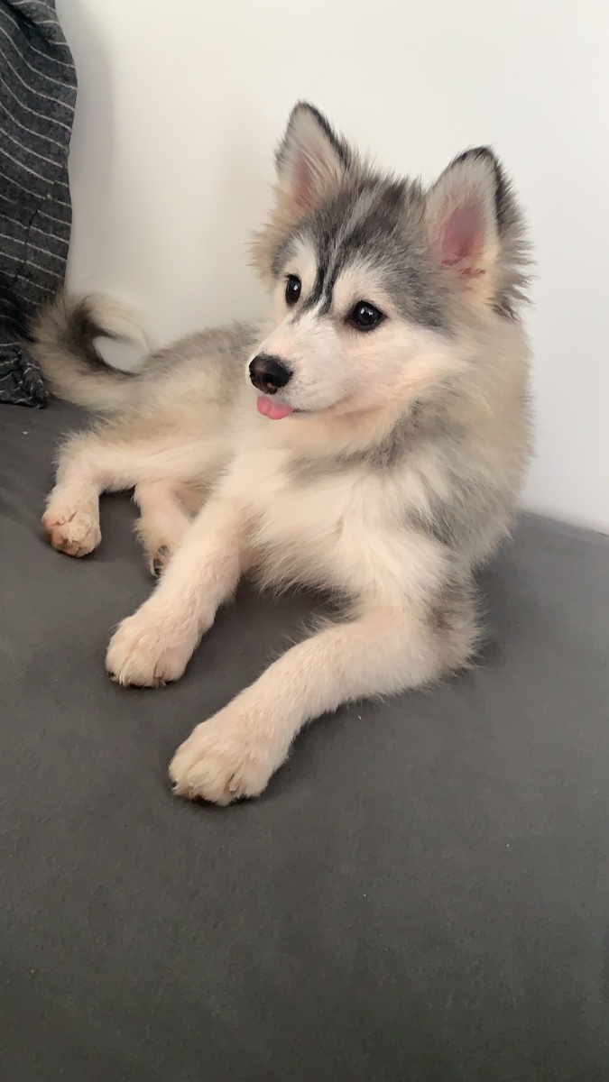 Финик - 6 месяцев