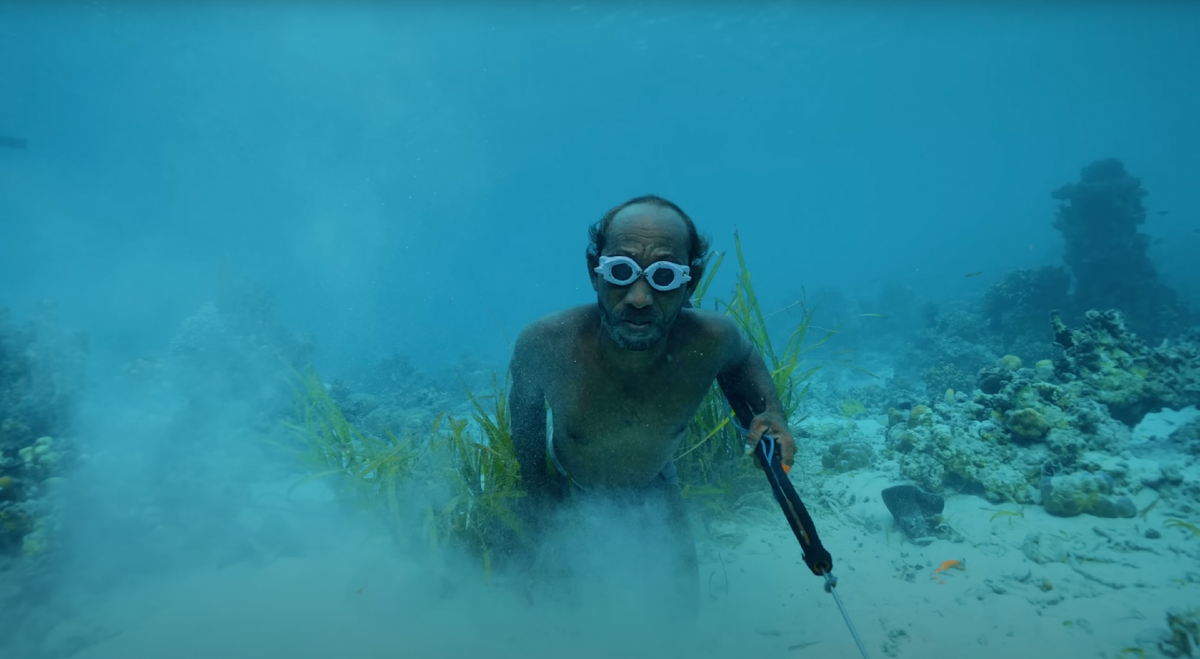 Они ныряют глубже нас, остаются под водой минуты и ловят рыбу, словно это их естественная среда.