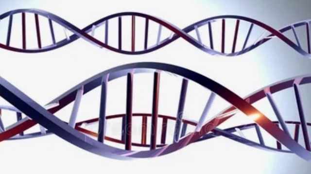 Некодируеющая часть участков днк