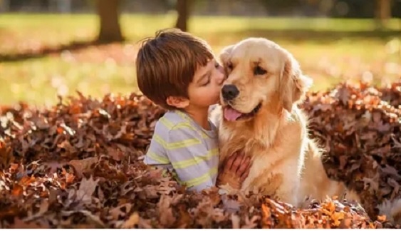 ребенок и собака