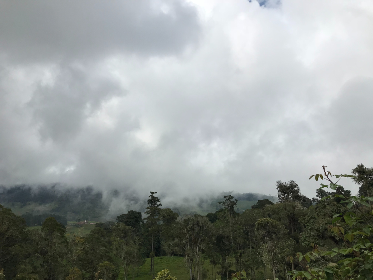 Местность вокруг была горная, и дорогу часто закрывал туман