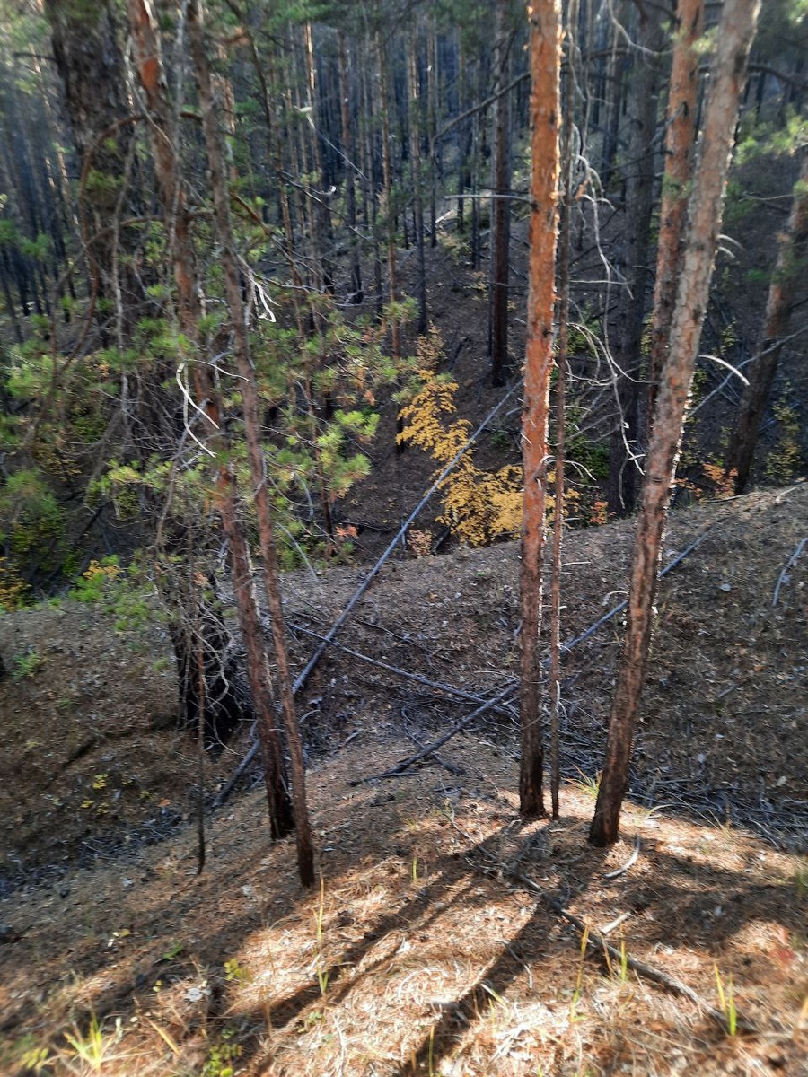 Фото автора.