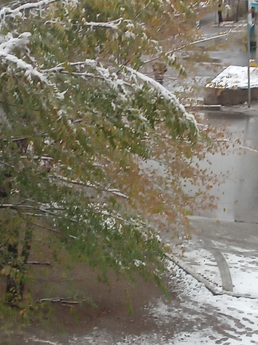 Фото автора